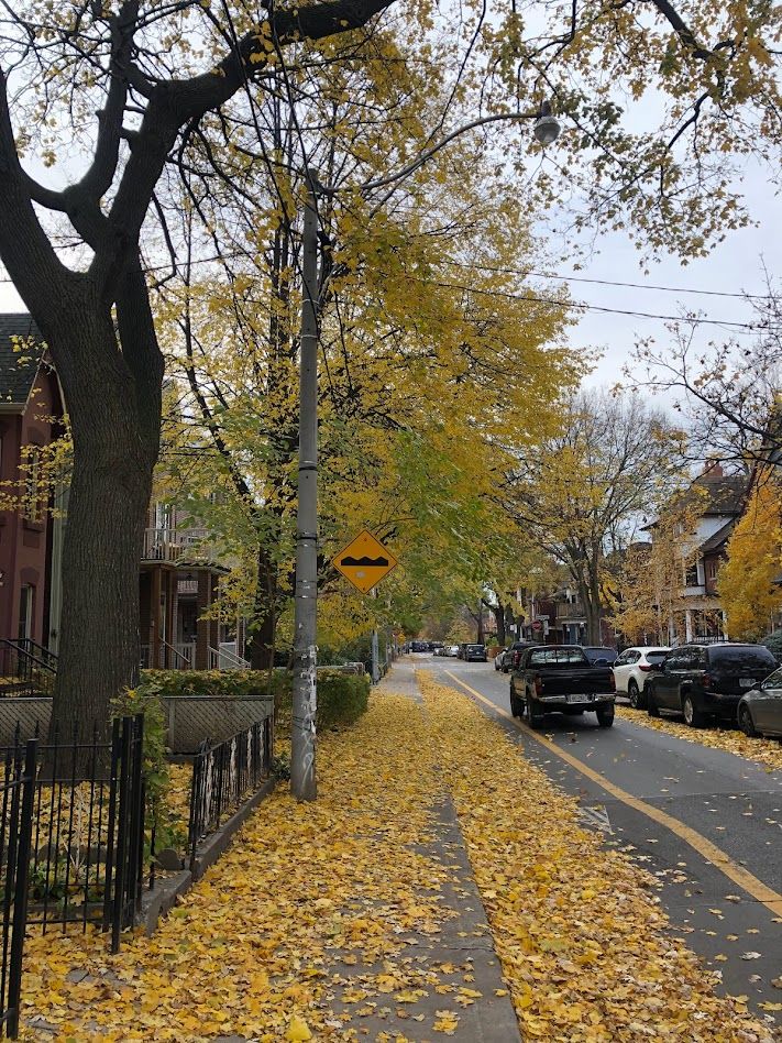 トロント街並み